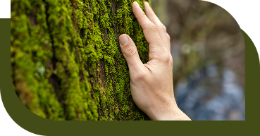 Mano tocando un árbol como símbolo de compromiso ambiental en gestión de residuos